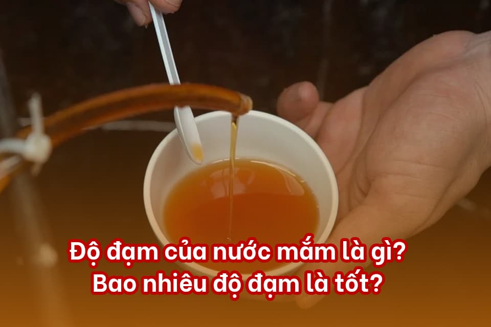 What is the protein content of fish sauce, and how much is good?